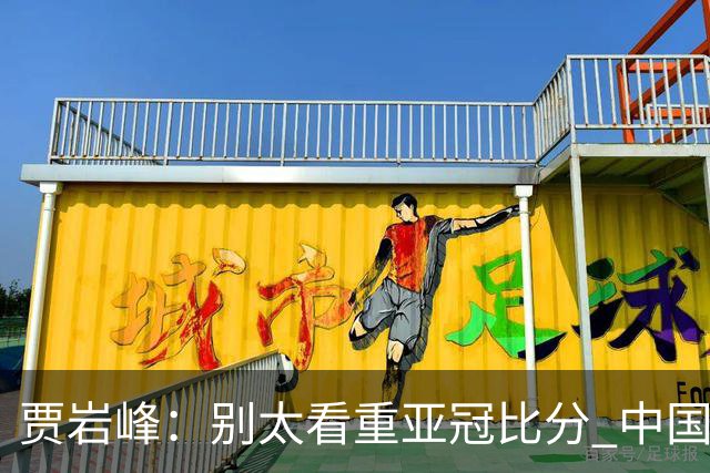 贾岩峰：别太看重亚冠比分 中国足球活着更重要